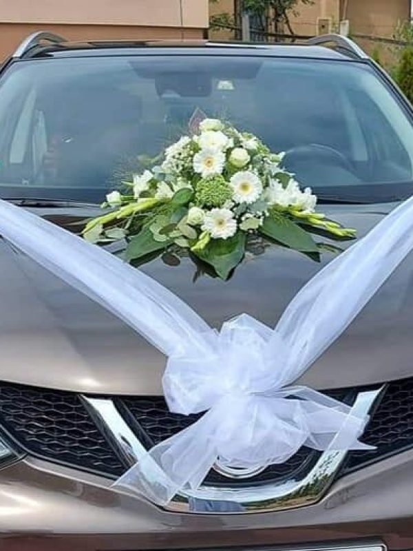 480058738_1262972265290052_1601810809571909261_n